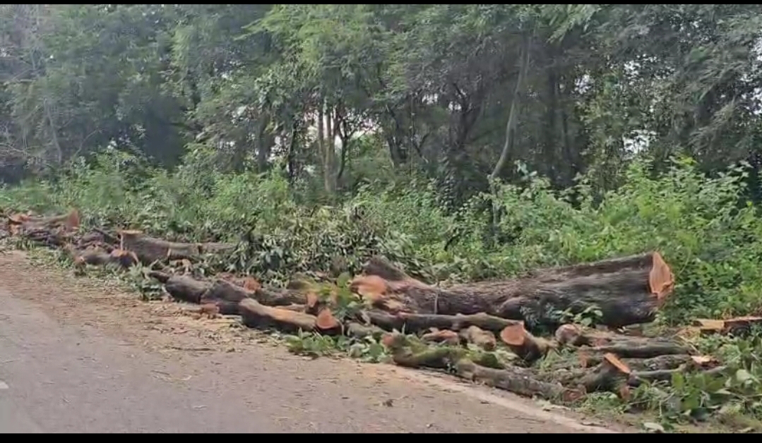 Photo of महोबा की हरियाली को विकास की गिद्ध नजर लगी…