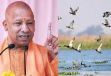Photo of मैनपुरी से श्रावस्ती तक 7 वेटलैंड्स के दिन बहुरेंगे, तालाब-झील और नदियां बनेगी पर्यावरण की संजीवनी.