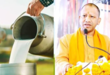 Photo of स्वदेशी गायों से डेयरी सेक्टर में बड़ा बदलाव, गो पालन पर 50% तक सब्सिडी