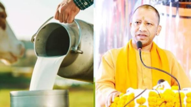Photo of स्वदेशी गायों से डेयरी सेक्टर में बड़ा बदलाव, गो पालन पर 50% तक सब्सिडी