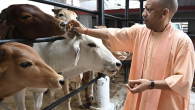 Photo of मुख्यमंत्री योगी आदित्यनाथ ने गौ संरक्षण/प्राकृतिक खेती को राष्ट्रीय प्रगति और किसान समृद्धि से जोड़ा