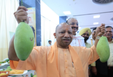 Photo of CM योगी ने 3 दिवसीय उत्तर प्रदेश आम महोत्सव का उद्घाटन किया