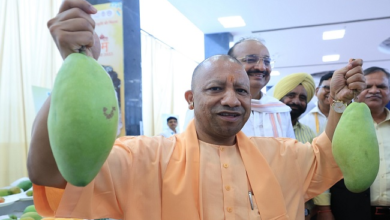 Photo of CM योगी ने 3 दिवसीय उत्तर प्रदेश आम महोत्सव का उद्घाटन किया