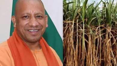 Photo of हर गन्ना किसान तक पहुंचेगा सामाजिक सुरक्षा का कवच, गन्ना समितियों से जुड़ेंगी जनकल्याणकारी योजनाएं