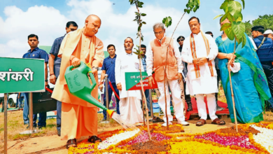 Photo of मुख्यमंत्री योगी “उत्सवपूर्ण माहौल में उत्तर प्रदेश 12 जुलाई को एक दिन में 35 करोड़ पौधे लगाएगा “
