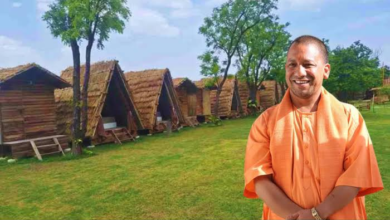 Photo of योगी सरकार की बागवानी योजना से किसानों की बढ़ रही आय, आधुनिक खेती को मिल रहा बढ़ावा