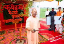 Photo of मुख्यमंत्री योगी “पौधरोपण महाभियान धरती माता के प्रति कृतज्ञता ज्ञापित करने का महायज्ञ”