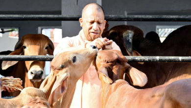 Photo of योगी सरकार की योजना से बदली किस्मत, डेयरी से सालाना हो रही 20 लाख की कमाई