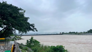 Photo of ओडिशा में बारिश बनी आफत,महानदी का बढ़ता जलस्तर बढ़ा रहा खतराय 4 जिलों में बाढ़ का अलर्ट जारी