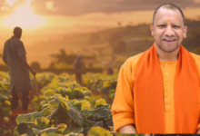 Photo of योगी सरकार का माइक्रोबायोम प्लान तैयार, स्वास्थ्य से खेती तक होगा फायदा