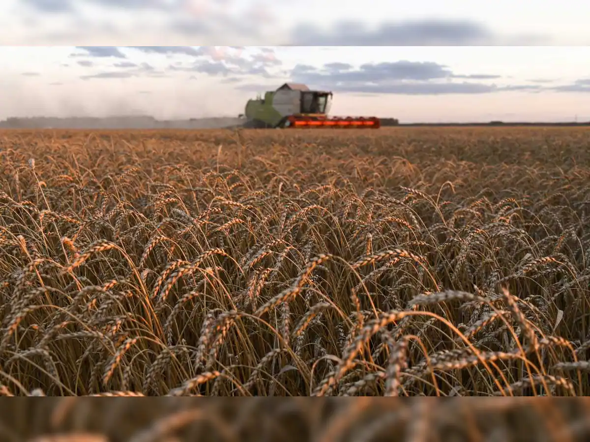 Photo of कीमतें कम करने के लिए केंद्र 30 लाख मीट्रिक टन गेहूं की बिक्री करेगा | LATEST NEWS