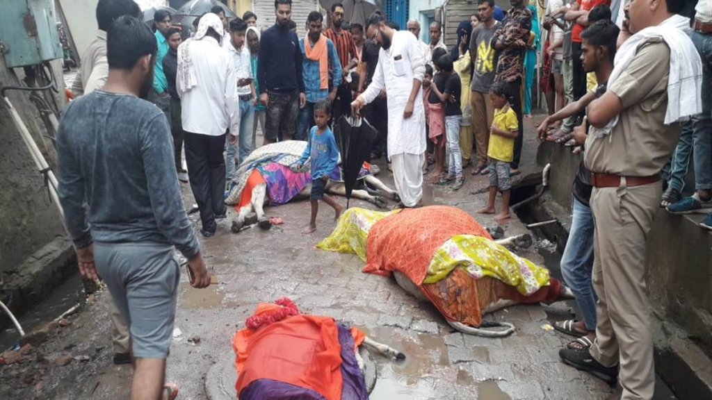 Photo of वृंदावन में मरती रहीं गायें, बर्थडे मनाते रहे अफसर…? | LATEST NEWS UPDATE