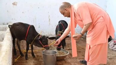 Photo of योगी सरकार ने लंपी वायरस की रोकथाम के लिए 25 जिलों में 606 टीमें कीं तैनात, किसानों को किया जा रहा जागरूक.