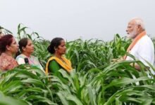 Photo of दीपावली से पहले किसानों को PM Kisan Samman Nidhi का उपहार, प्रधानमंत्री नरेन्द्र मोदी ने ट्रांसफर की निधि; UP के 2.2 करोड़ किसान लाभांवित